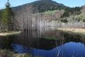 Mandlinger moor 69696 2018-04-18.jpg