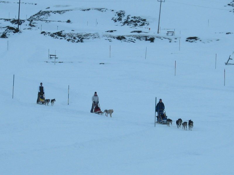 Datei:Schlittenhundefahrt, Naßfeld 3.jpg