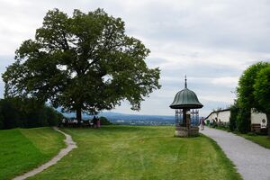 Plainlinde, Ostansicht.JPG