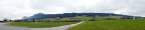 Waidachstraße heller.jpg