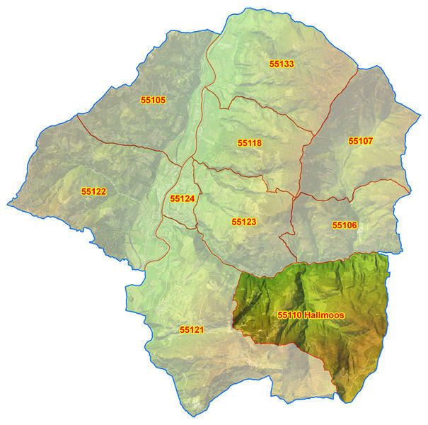 Datei:55110 Hallmoos.jpg