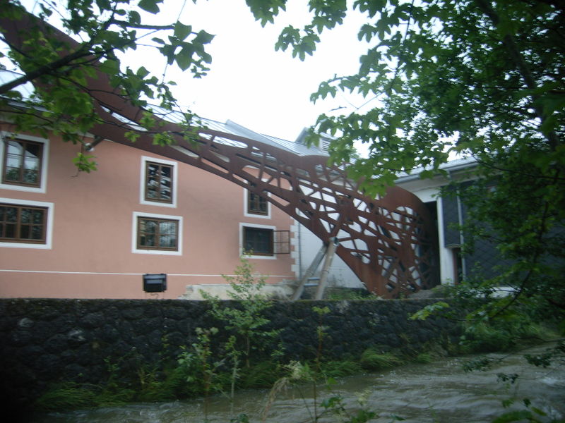 Datei:Forelle zu Vischawang.jpg