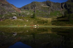 Gralatisee 32899 2016-08-25.jpg