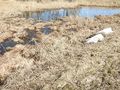 Vorschaubild der Version vom 12:04, 13. Apr. 2018
