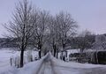 Nicolaus Gaertner-Allee.jpg