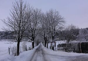 Nicolaus Gaertner-Allee.jpg