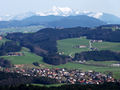 Sommerholz an der Spitze von Neumarkt.jpg