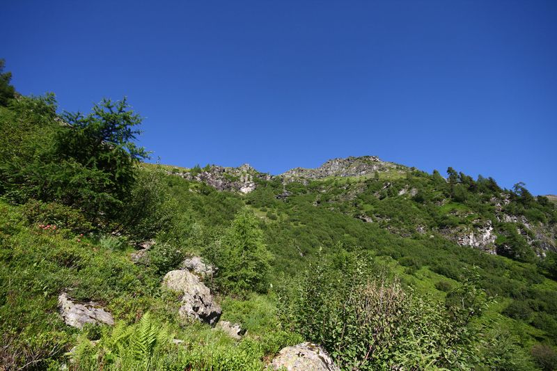 Datei:Wirpitschalm 29997 2016-07-10.jpg