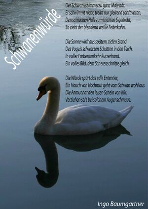 Zzzschwana.jpg