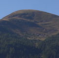 Gumma lungau 33845 2016-08-25.JPG