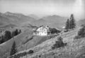 Schafberg Risch-Lau 16.jpg