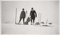 Skifahren um 1908 Großvenedigergruppe.jpg