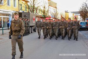 Angelobung 2015 in Neumarkt am Wallersee 05.jpg