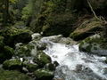 Glasenbachklamm.jpg