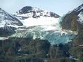Kaefertal Gletscher.jpg