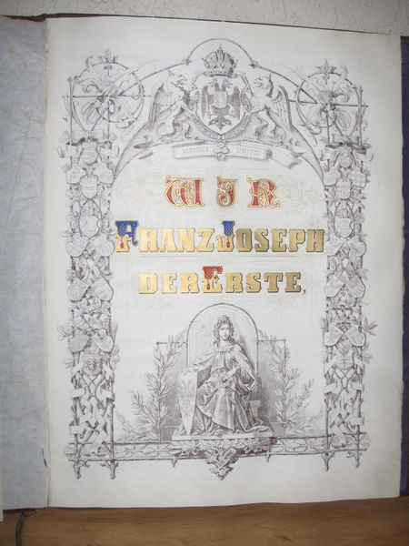 Datei:Lasser von Zollheim Ritterstandsdiplom Weiss 2.JPG