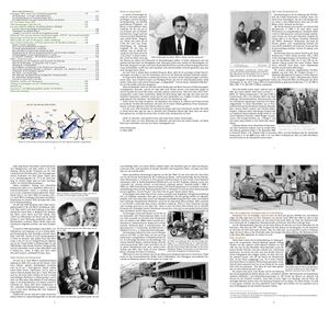 Reiseleiter gehen durchs Fegefeuer Vorschau 01.jpg
