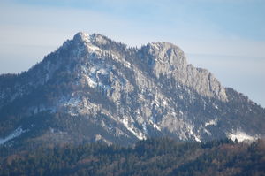 Schober a 003.jpg