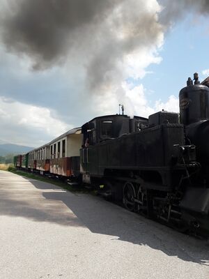 Taurachbahn Dampfzug Lungau 20250814 1 (10).jpg