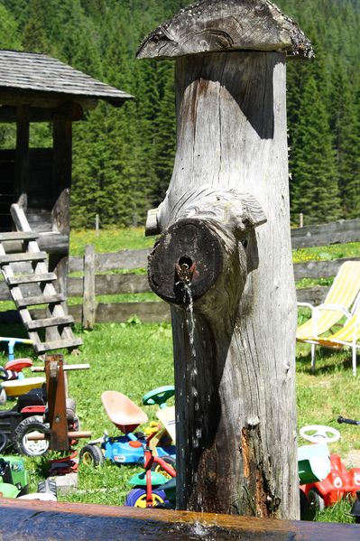 Datei:Vögeialm 27697 2016-06-23.jpg