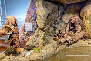 2025 02 02 Haus der Natur 15.jpg