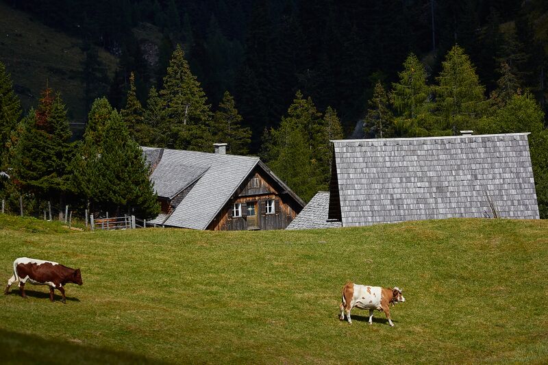 Datei:Königalm riedingtal-0224-2021-09-14.jpg
