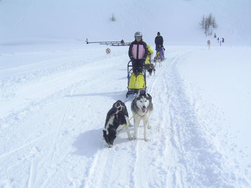 Datei:Schlittenhundefahrt, Naßfeld.jpg