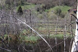 Mandlinger moor 69821 2018-04-18.jpg