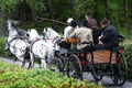 Rosserer Wallfahrt 01.jpg