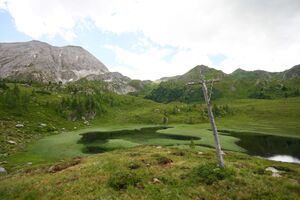 Ernstlacke 0814 08-07-19.jpg