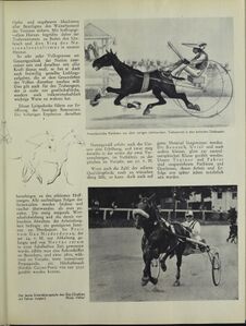 Salzburg im Sommer 1938 Die Bühne 39.jpg