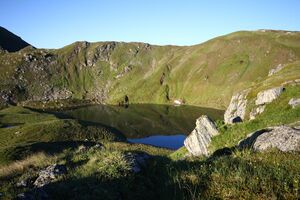 Schönalmsee, obere 29926 2016-07-10.jpg