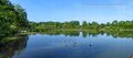 Sighartsteiner Weiher Juni 2021.jpg