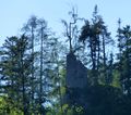 Burg Saaleck.jpg