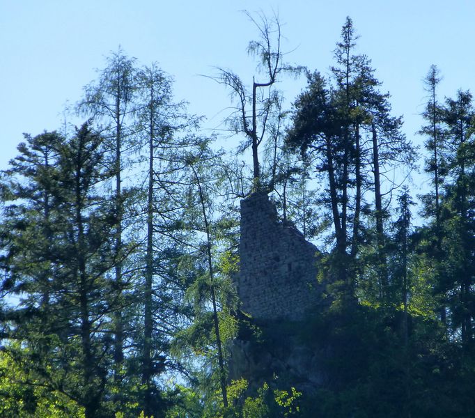Datei:Burg Saaleck.jpg