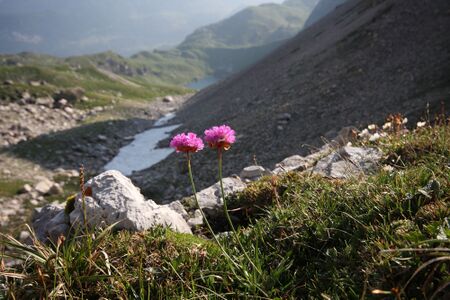 Wildsee obertauern 96466 2010-07-17.jpg