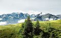 Hohe Tauern Panorama Trail 01.jpg