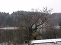 Ruhe am Höglwörther See.jpg