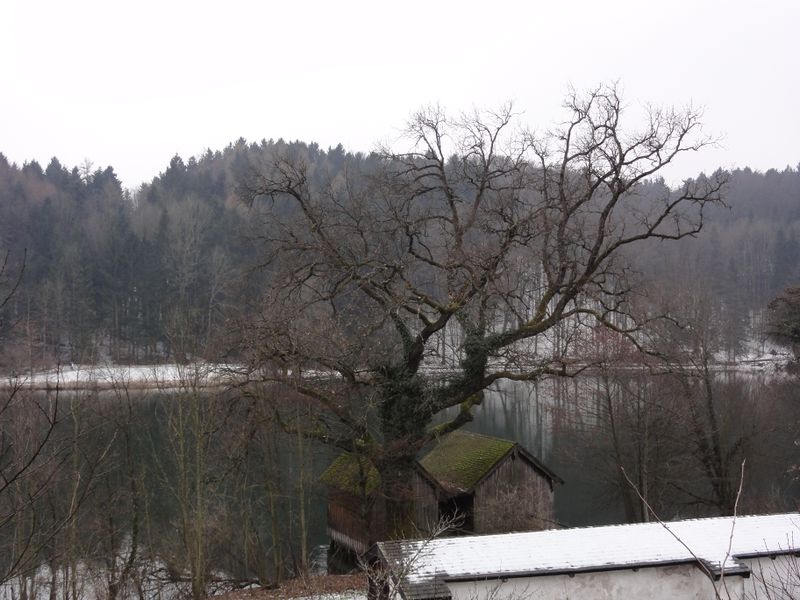 Datei:Ruhe am Höglwörther See.jpg