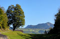 Vorschaubild der Version vom 13:05, 5. Jan. 2012