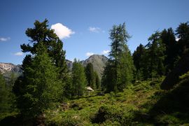 Schönalm weißpriach 29786 2016-07-10.jpg