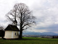 Ausblick nach Freilassing und zum Staufen von der Kapelle in Berggassing.jpg
