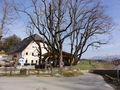 DSC01561.JPG