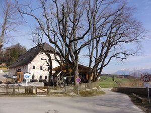 DSC01561.JPG