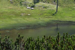 Hundsfeldsee obertauern 30888 2016-08-04.jpg