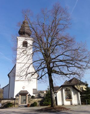Westansicht der Pfarrkirche Zell am Moos.jpg