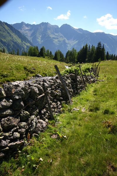 Datei:Wirpitschalm 29839 2016-07-10.jpg