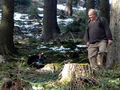 Begegnung im Wald.jpg