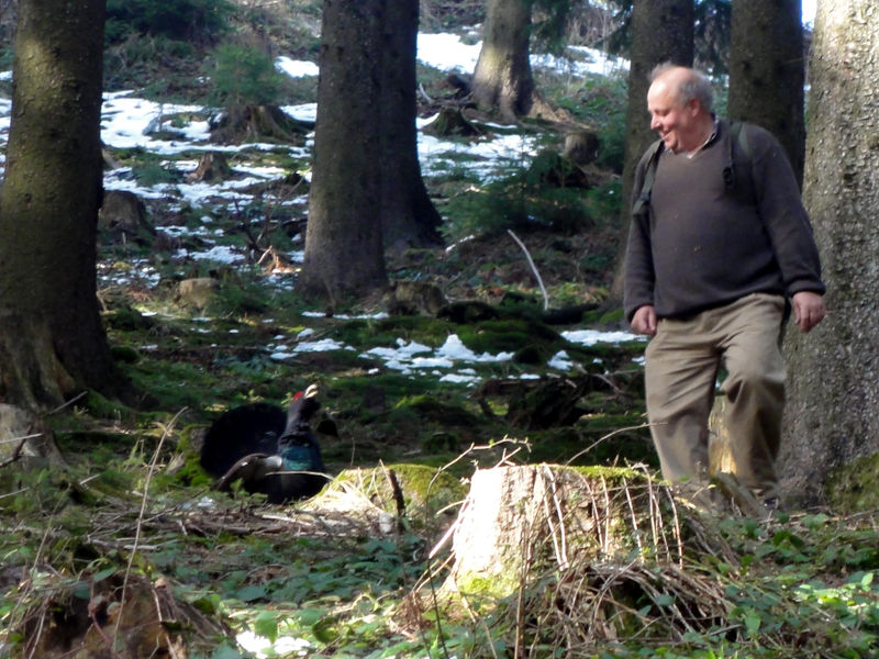Datei:Begegnung im Wald.jpg