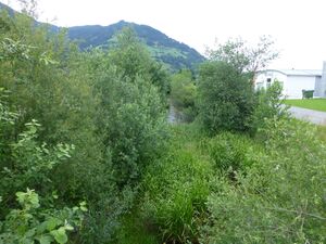 Bruckbergkanal 8.jpg